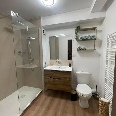 Coquet Apartament